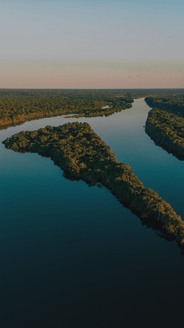 Image without alt